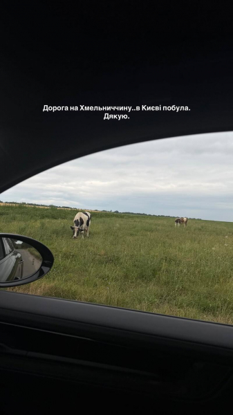 Нікітюк залишила Київ заради безпеки сина