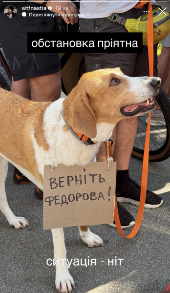 Дорофєєва, Лебіга, Астаф'єва: хто вийшов на акцію проти відставки Федорова