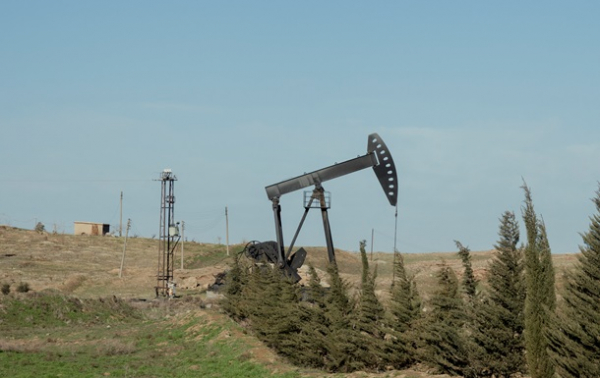 Ціни на нафту впали на тлі сигналів Ірану про переговори зі США